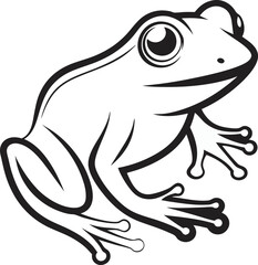 Frog vector illustration on transparent background.