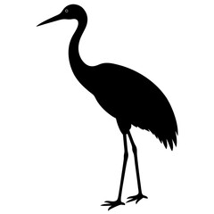Black Silhouette of a Crane Bird Standing