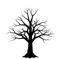 Obraz premium Bare tree silhouette outline graphic isolated on transparent background