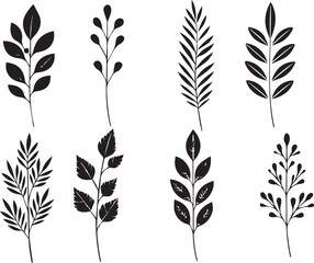 Obraz premium Collection of stylized leaf branches and sprigs in black