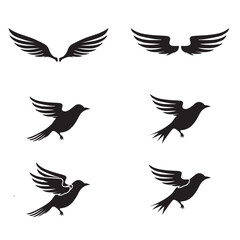Flying Birds and Wings Black Silhouette Set Minimalist Animal Shape for Design and Branding