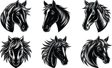 Set Of horse head silhouette illustration on white backgroud
