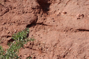 Closeup of Pingshan Hu Grand Canyon is mainly composed of red gravel, sandstone and mudstone, Zhangye City, Gansu Province in China
