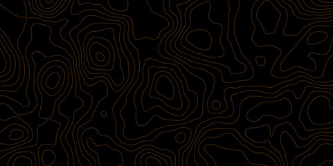 Abstract Topographic Contour Background. Modern Contour Pattern Background. Vector Map Lines. Topographic Flow map