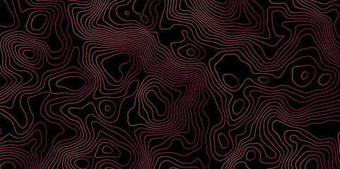 Abstract Topographic Contour Background. Modern Contour Pattern Background. Vector Map Lines. Topographic Flow map