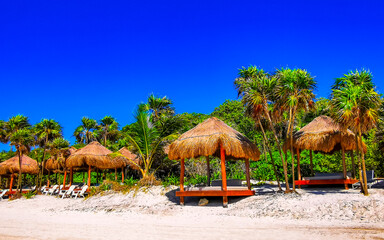 Palapa thatched roofs palms parasols sun loungers beach resort Mexico.
