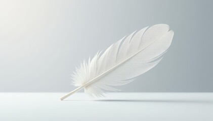 Obraz premium A single white feather floats on a stark white surface, white, still life, studio