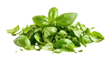 Obraz premium Isolated dried and chopped up basil spice pile on white background