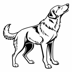 vector illustration of a dog