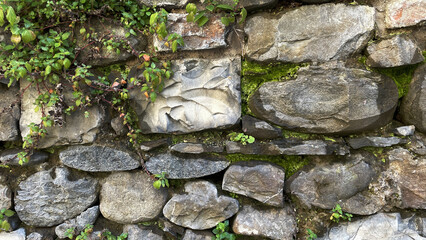 Ancient stone wall covered with plants