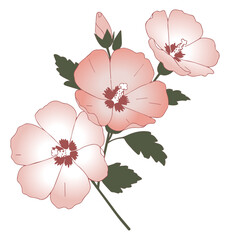 무궁화 일러스트 01