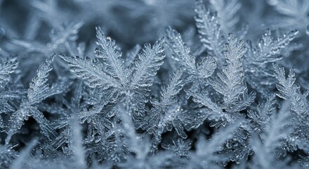 Macro Photo of Ice Crystals Formation in Blue Tones Photo