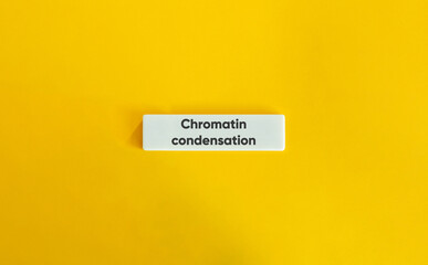  Chromatin Condensation Banner.