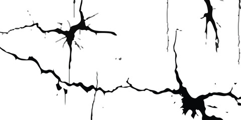 Vector cracks, breaks on land surface from earthquake. old wall background crack vector, grunge texture. cracked white paint on a white background. White black grey wall, floor with cracks, texture ba