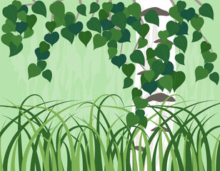 Green vegetation. Nature illustration. Inspiration from nature, ideal for use in packaging design.