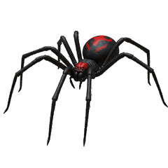 Striking black widow spider illustration with detailed textures and vibrant colors