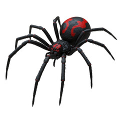 Detailed close-up of a black widow spider showcasing its distinct markings and anatomy