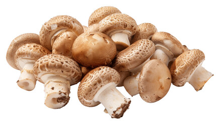 Fototapeta premium Shimeji Mushrooms Side View