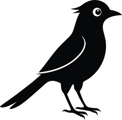 cuckoo silhouette icon on  transparent background