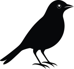 myna silhouette icon on transparent background