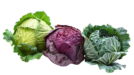 Obraz premium Mixed Cabbage Trio