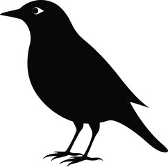 starling silhouette icon vector illustration