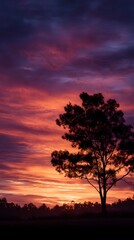 Fototapeta premium Dramatic sunset silhouette of a tree in the landscape