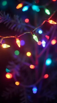 Vertical colorful holiday lights background in christmas tree with copy space