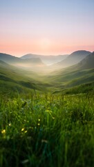 Fototapeta premium Green Valley at Dawn