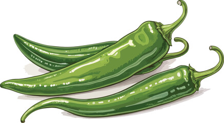 Green Chili Pepper on White Background Vector Illustration