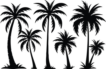 Obraz premium Palm Tree Silhouettes for Tropical Designs. Tropical Palm Tree Silhouette Art Collection. Palm Tree Silhouette Illustrations for Creative Use. Sunset Style Palm Tree Silhouettes for Designers