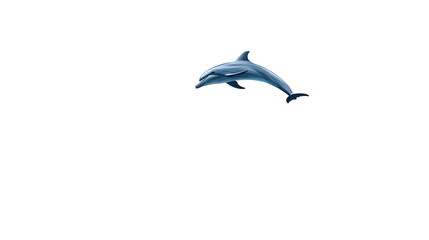 Dolphin and Fish Swim