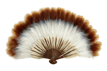 Feather fan, brown & white isolated on transparent PNG background