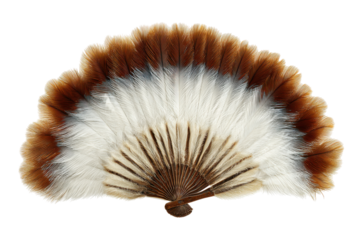 Feather fan, brown & white isolated on transparent PNG background