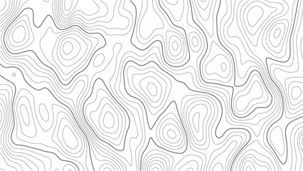 Vector Topographic Map with Contour Lines – Abstract Elevation Landscape. Minimalist Terrain Lines – White Background Topo Grid Texture. Mountain and Sea Navigation Map – Wavy Line Geography Vector.
