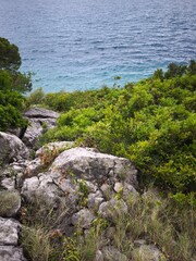 rocky coast of the sea