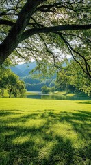 Naklejka premium Lush green meadow beneath a canopy of trees, overlooking a serene lake and distant mountains. Sunlight filters through the leaves, casting dappled shadows on the grass
