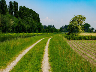 Landscape along the Muzza canal, Milan province, Italy, at springtime