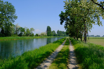 Landscape along the Muzza canal, Milan province, Italy, at springtime