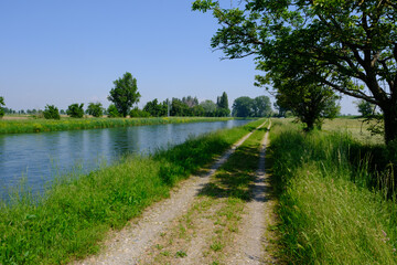Landscape along the Muzza canal, Milan province, Italy, at springtime