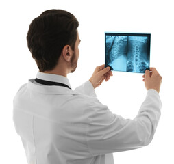 Doctor examining neck MRI scan on white background, back view