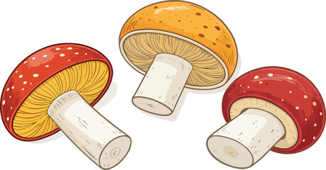 White Background Mushroom Vector Design High Resolution Illustration