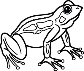 Frog animal line art, Frog silhouette