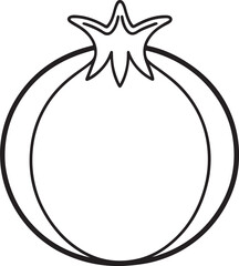 pomegranate fruit line art, black outline, vector and illustration, coloring book page line art drawing