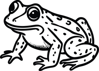 Frog animal line art, Frog silhouette