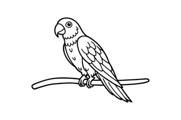 Line art illustration of a parrot perched on a branch.eps