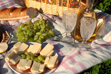 Sunny Picnic with Cheese, Grapes, and White Wine