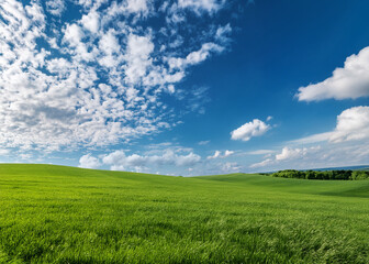 Fototapeta premium Generated Image