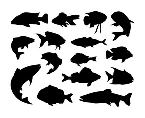 various fish silhouettes vector set