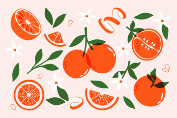 Fototapeta na wymiar Orange fruits. Fresh citrus with leaves, ripe oranges whole and cut pieces, abstract tropical fruit with leaf, peel and flowers, natural organic sweet sour ingredient. Vector cartoon set